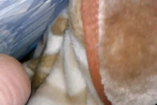 Anh nhét chặt dương phim sex hd khong che hay nhat vật dày cộp của mình vào trong lỗ.