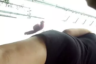 Đam mê người sex jav hay nhat da đen đụ một con gà với lỗ đón.
