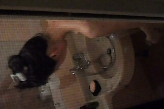 sex nhat jav
