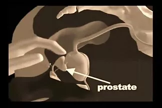 Địt cô gái trên dương vật giả một cách vui vẻ trước ống phim sex nhat java kính.